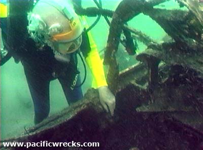 Click For Enlargement