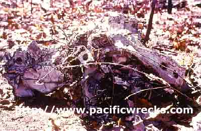 Click For Enlargement