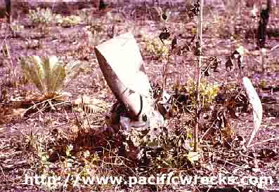 Click For Enlargement