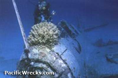 Click For Enlargement