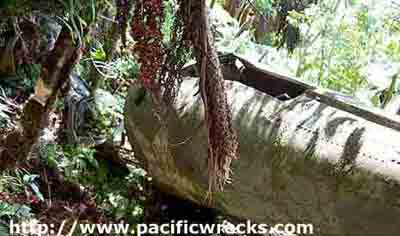 Click For Enlargement