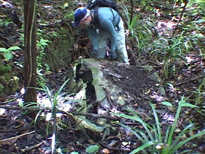 Click For Enlargement