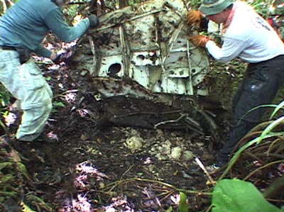 Click For Enlargement