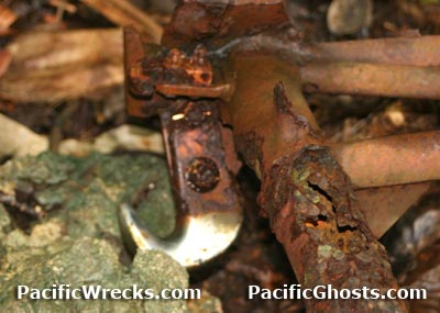 Click For Enlargement