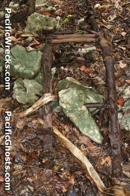 Click For Enlargement