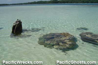 Click For Enlargement