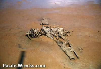 PacificWrecks.com