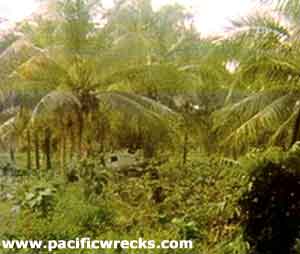 Click For Enlargement