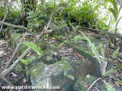 Click For Enlargement