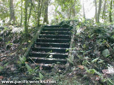 Click For Enlargement