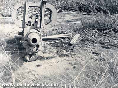 Click For Enlargement