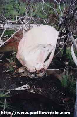 Click For Enlargement