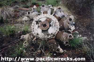 Click For Enlargement