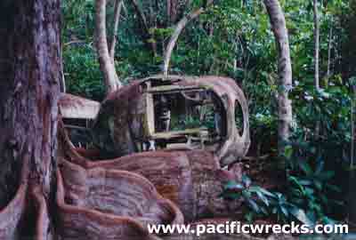 Click For Enlargement