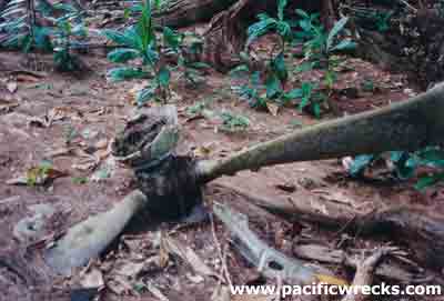 Click For Enlargement