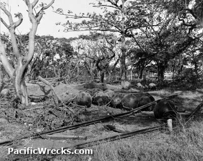 Click For Enlargement