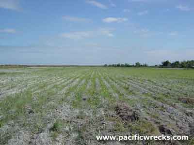 Click For Enlargement