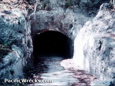 Click For Enlargement