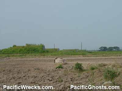 Click For Enlargement