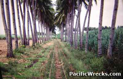 Click For Enlargement