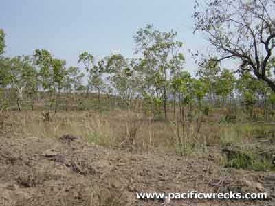 Click For Enlargement