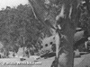 Click For Enlargement