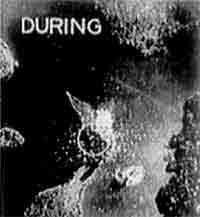 Click For Enlargement