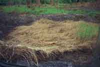 Click For Enlargement