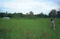 Click For Enlargement