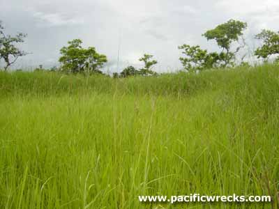 Click For Enlargement