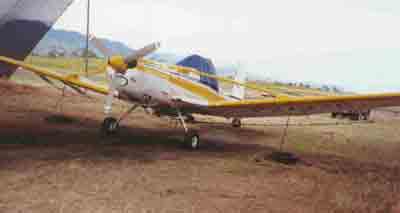 Click For Enlargement