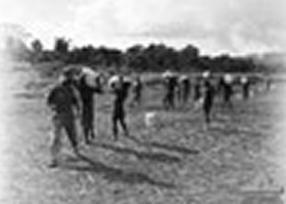 Click For Enlargement