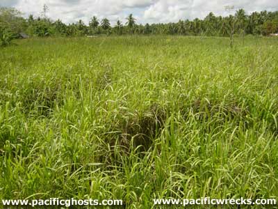 Click For Enlargement