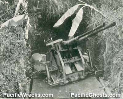 Click For Enlargement