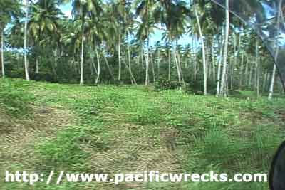 Click For Enlargement