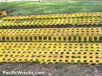 Click For Enlargement