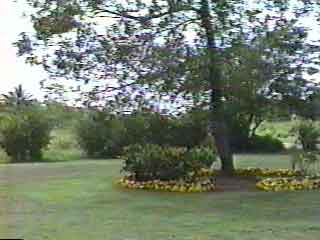 Click For Enlargement