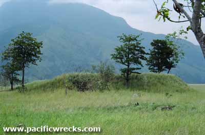 Click For Enlargement