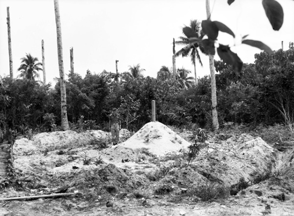 Click For Enlargement