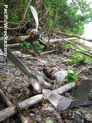 Click For Enlargement