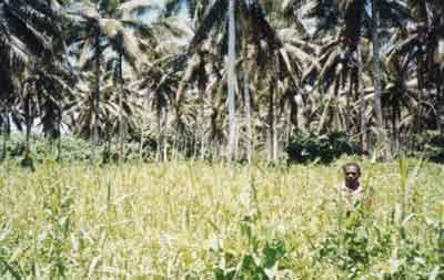 Click For Enlargement