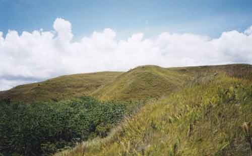 Click For Enlargement