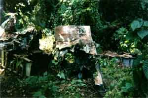 Click For Enlargement