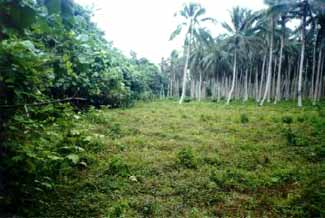 Click For Enlargement