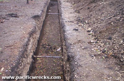 Click For Enlargement