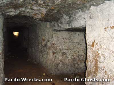 Click For Enlargement