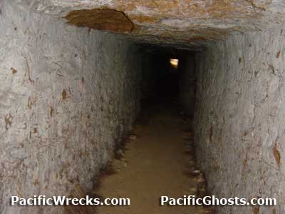 Click For Enlargement