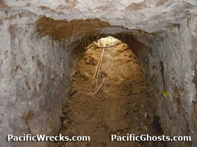 Click For Enlargement