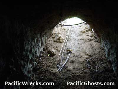 Click For Enlargement