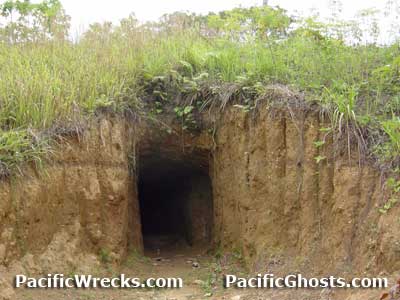 Click For Enlargement